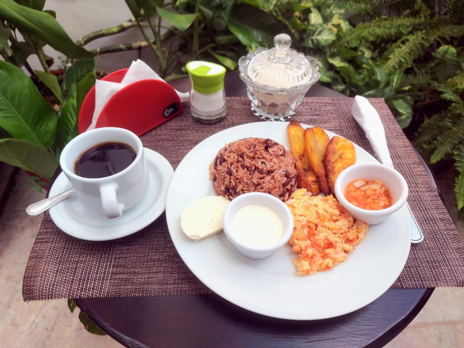 Hotel Work-Coffee Matagalpa Ngoại thất bức ảnh
