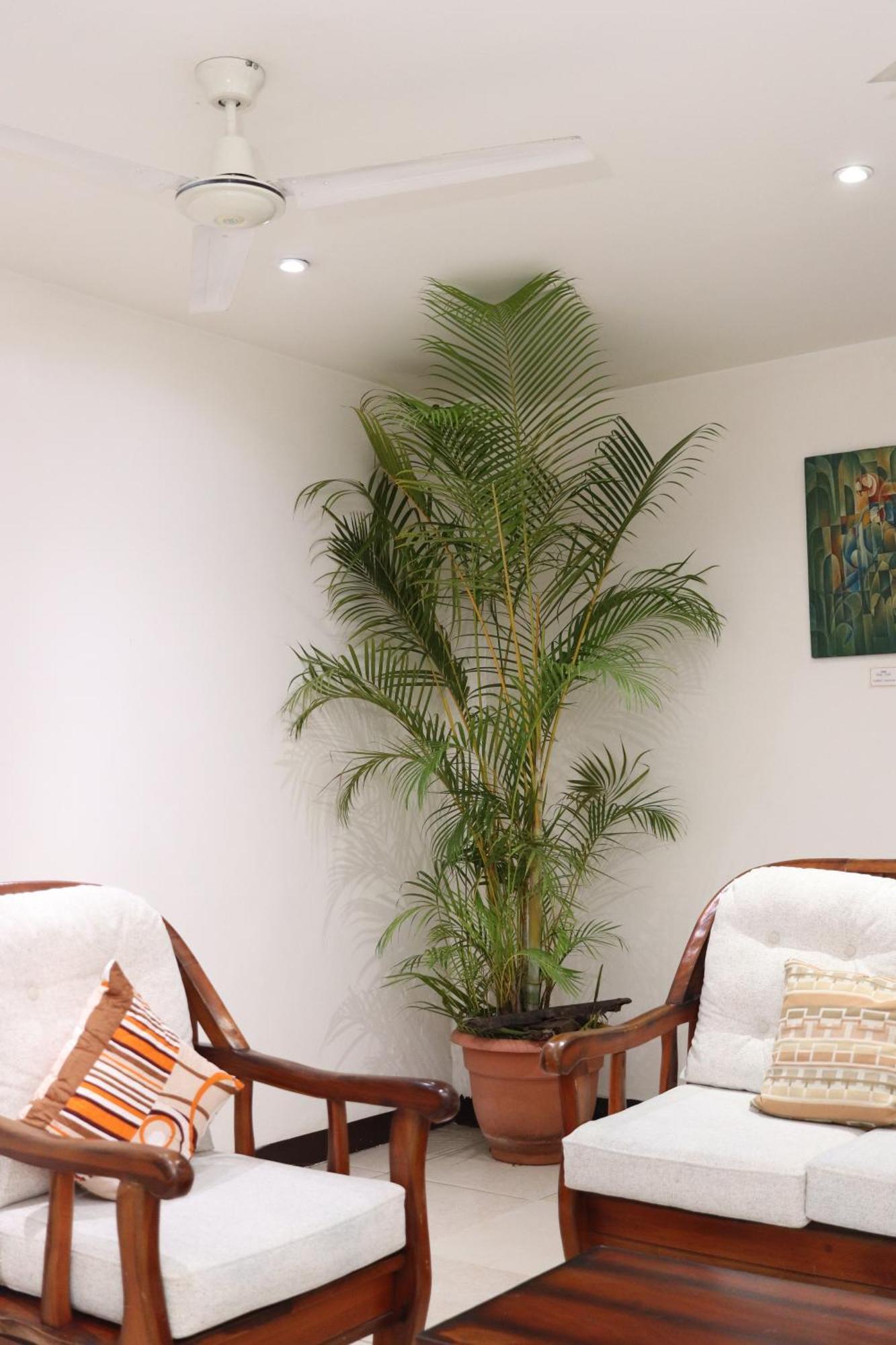 Hotel Work-Coffee Matagalpa Ngoại thất bức ảnh